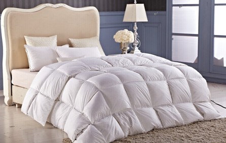 ���_�m�qĩ���u��g���ݡ����f�õĲ�Ҋ��ɢ��