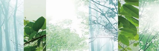 ���_�m���C�Ҽ���߀ԭ���Rԭ���Bƽ��h��