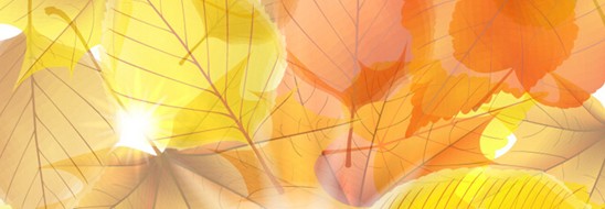 ����˯�ߣ�ه��Violet���C�Ҽ�