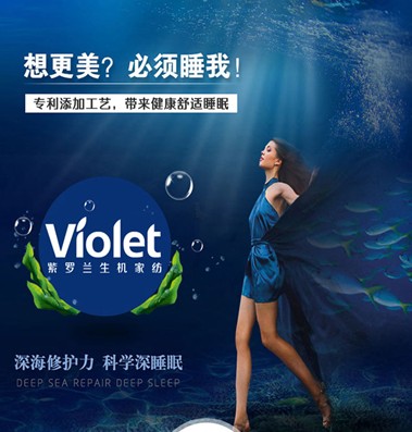 紫羅蘭:融匯深海靈氣,擁抱自然之美