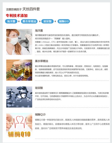 紫羅蘭:融匯深海靈氣,擁抱自然之美