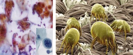 ���_�m���C(j��)�Ҽ��������ܽ���˯��