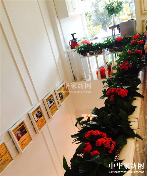 凱盛家紡信陽家居生活館盛大開業,精彩紛呈引爆全城