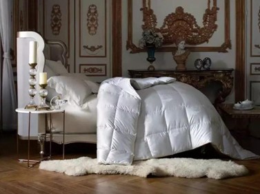 19�f8���I����Ҽ������������ފy��ĺ����Ԇ᣿