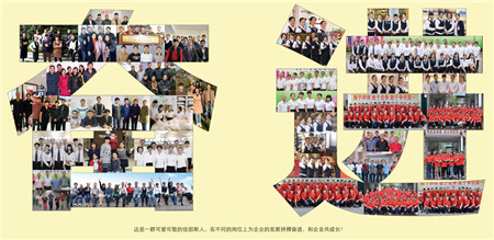 佳麗斯家紡:三千里路云和月五十年輪寫傳奇