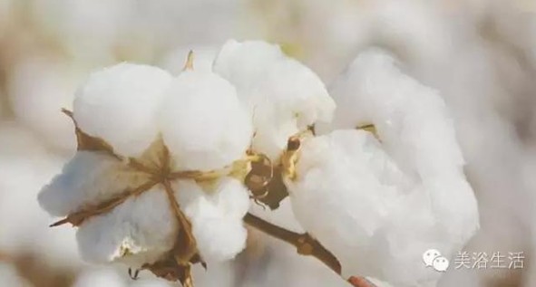 美浴生活:論一條毛巾的自我修養!