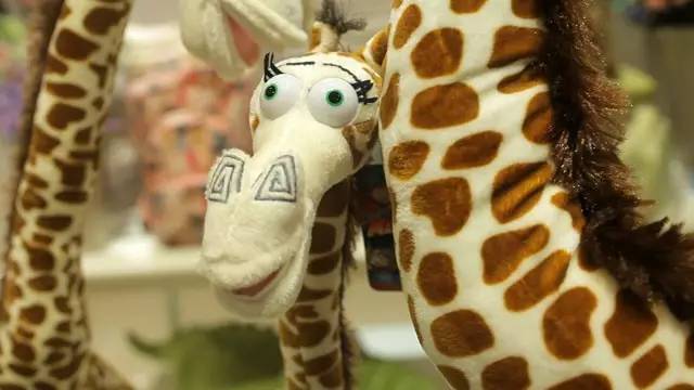 �L�Һ�ꖵĄPʢ�Ҿ������^�µ��_�I���Ȳ�������ȥ��