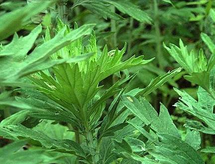 ���ľӼ�����ٛ���x�Ҽ����������B����