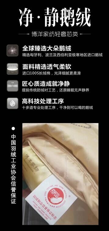 博洋家紡凈•靜鵝絨:刷新您全方位的體驗