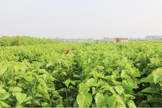 �X�ʽz�I�@��2017�Ї��Ҽ��Ӽ��\��Ʒ�ƪ������I��������ϵ�y�x���ЌmԷ�Q�z��