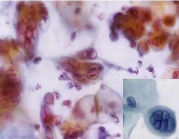 快來洗被子!!!首套歐洲進口精洗設(shè)備登陸寧波博洋家紡