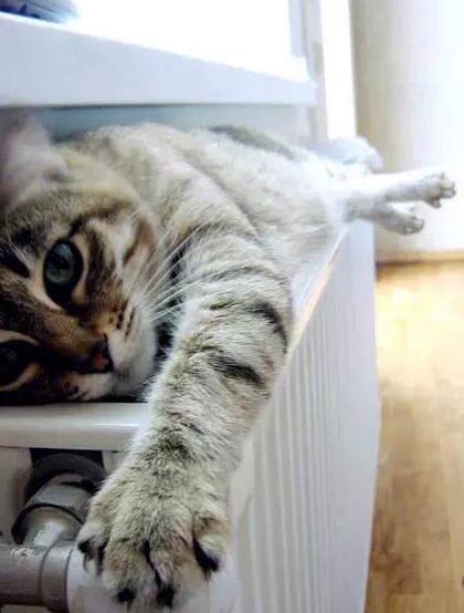 Ϧ�̽z�I�W�á������f