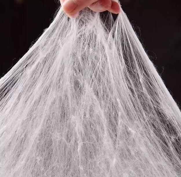 Ϧ�̽z�I�W�á������f