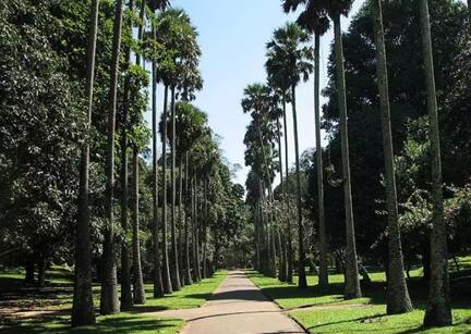 博洋嬰童:純天然乳膠枕讓睡眠回歸本質