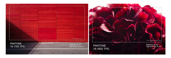 �Ї�(gu��)����ɫ�f(xi��)��(hu��)�l(f��)�������Ҿ�����ɫ������(gu��)ɫ������t