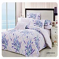 �頿޹�²�Y-021