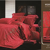 ϲ�Y�B��(��t)����-1