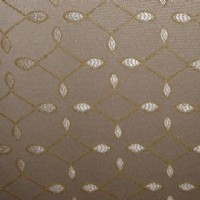 ɳ�l���b�����