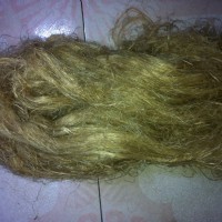 �����L���w�S