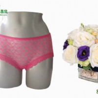 ���w�S�¿�Ůʿ��(n��i)ѝ