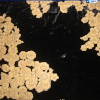 ��(n��i)�N��ӡ��z�������q