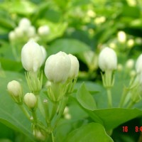 ��ζ΢�z�����턩