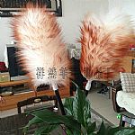 ��Ϫ�坍���m��ë�������_��ë�������l