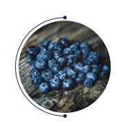 ��̫��Ƴ���Ʒ--2020֮���䡰�{������ϵ��