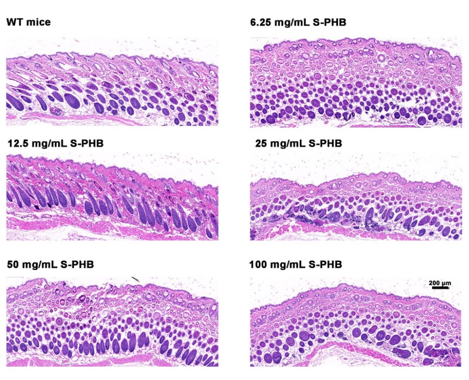 ������V�V��������Ʒ���о����l(f��)չڅ��