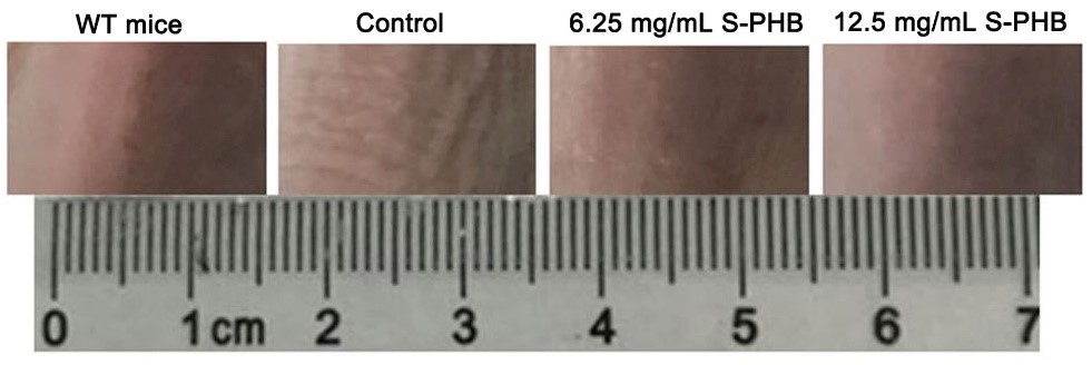 ������V�V��������Ʒ���о����l(f��)չڅ��